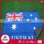 National flag printing polar fleece custom portable waterproof folding picnic blanket