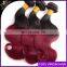 new products Ombre Peruvian Virgin Hair Red Ombre Peruvian Hair Burgundy Hair Body Wave Wavy 3pcs lot 1B Red 3Pcs Lot