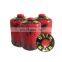 Made in china 230g camping butane gas cartridge and 230g screw valve butane gas cartridge