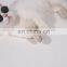 Fashion pet accessories photo travel necessities dog and cat Goggles pet glasses sunglasses