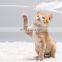 Peacock Feather Pet Toy Cat Interactive Teasing Cat Stick Entertaining Toy Pet Supplies