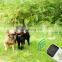 The new one for two training dog ultrasonic stop cockroach anti-dog call stop device dog training collars