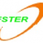 Dongguan Fster Optoelectronics Materials Co., Ltd