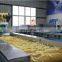 Continuous Frying Machine For Patties Spring Roll Deep Fryer Machine