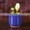 Mini Ice Cracked Desk Top Succulent Flower Pot
