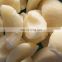 Sinocharm New Crop BRC-A Approved Organic Sweet Juicy IQF Pear Strips Frozen Sliced Pear