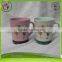 2016 custom printing color changing mug