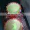 glow in dark coatings/night glow road coatings/photoluminescent road coatings