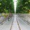 Commercial Greenhouses for Hydroponics Aquaponics and Aeroponics