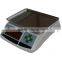 High Quality 5Kg Digital Counting Table Scale UW-T002