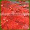 HANDMADE PEARL SEQUINED DECORATION MESH EMBROIDERY FABRIC                        
                                                Quality Choice