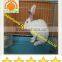 china suppliers Automatic rabbit breeding cage