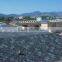 SHANDONG FACTORY: walking roof waterproof membranes, SBS/APP modified bitumen waterproofing membrane