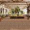 WOODEN FINISHED IVORY BASE FIST AAA GRADED FLOOR TILES OF INDIA