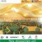 Factory sale outdoor events party tents wedding for sale