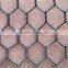 hot sale Chicken hexagonal wire mesh/Hebei hexagonal mesh