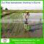 Walking Behind Manual Rice Transplanter