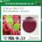 Good Taste Red Raspberry and Black Raspeberry Spray-dried Fruit Powder Ratio Extract 4:1 and 10:1