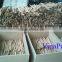 VIETNAM STICK CASSIA/CINNAMON _ REASONABLE PRICE