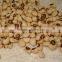 JSX all size of cowpea bean price Different size China cow pea