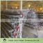 galvanized quail cage for sale