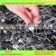Galvanized Roofing Nail hebei factory