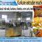 Jinan Eagle breakfast cereals and savory snack food extruding machine