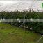 Agricultural High Tunnel Plastic Film Greenhouse