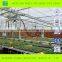 Multi-Span Commercial Polycarbonate Greenhouse for Sale