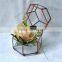 Indoor decoration clear glass plant terrarium hanging terrarium geometric