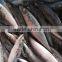 Frozen Fish Mackerel