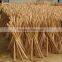 120*2.2cm Natural Eucalptus Wooden Broom Handle