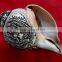 Best Selling White Conch Deity Crafted Shankha