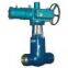 Power plant gate valve