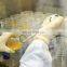 lab testing and quality controling service/chemical products factory inspection in China/quality testing