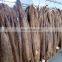 High quality nutria fur/skins material for garment use