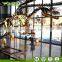 Resin Life Size Baryonyx Dinosaur Skeleton Model