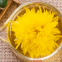 Dried Chinese blooming CHRYSANTHEMUM TEA ball