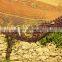 Factory Produce Top Quality Olive Fall Protection Harvest Nets with Grommets