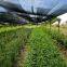 Shade Netting