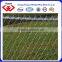 green color pvc coated chain link fence