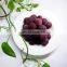 Sinocharm BRC A Approved IQF Red Whole Round Yangmei Bayberry Frozen Waxberry