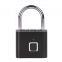 Zinc Alloy USB Rechargeable Smart Fingerprint Padlock