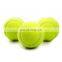 ITF Approved Cans Package Cricket Balls Training Tennis Ball Tube