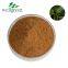 FREE SAMPLE Emblica Amarus Powder Organic Underleaf Pearl Phyllanthus Niruri Extract