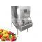 Tangerine Cut Kiwi Peeler Fruit Pitting Mango Slicing Pomelo Automatic Pineapple Coring Citrus Peeling Machine