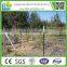 8/15/50 hot dipped galvanized field wire mesh