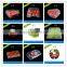 blister disposable plastic blueberry fruit packaging container