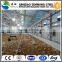 Steel structure warehouse / workshop/poultry house                        
                                                Quality Choice