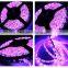 SMD 5050 60LED/METER PINK LED FLEXIBLE STRIP TAPE LIGHT DC 12 VOLTS WATERPROOF IP65 14.4W/M 900LM/M STRIPE CE/ROHS NEW